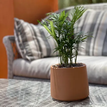 Apartment Views Golf Btw Benahavis Marbella &